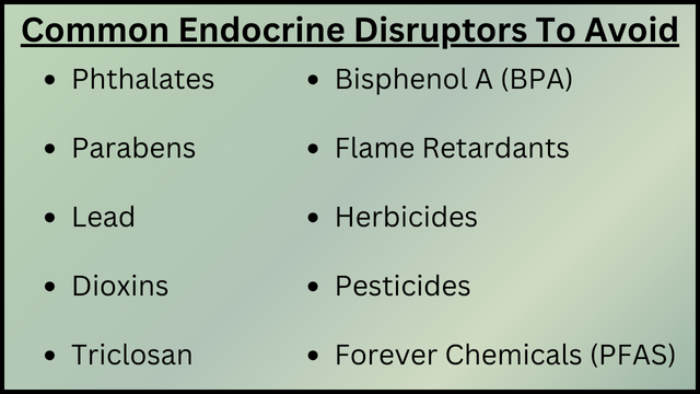 Common Endocrine Disruptors To Avoid