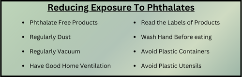 Health Effects of Flame Retardants (3)