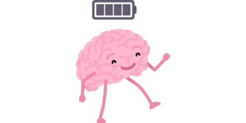 Healthy Brain (Estrogen Blog)