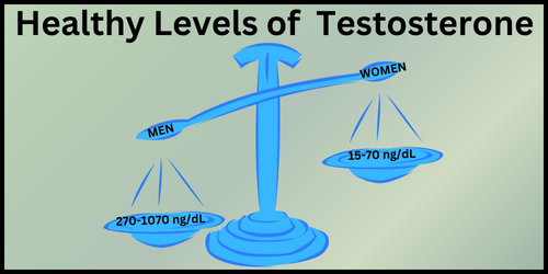 Healthy Levels (Testosterone Blog) (2)