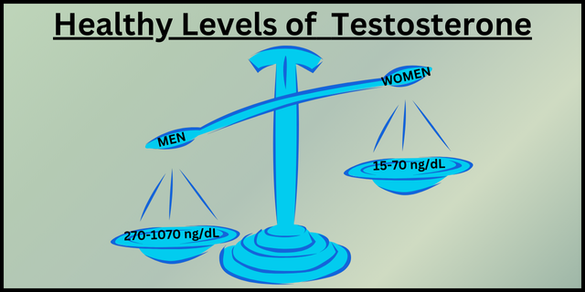 Healthy Levels of Testosterone (2)